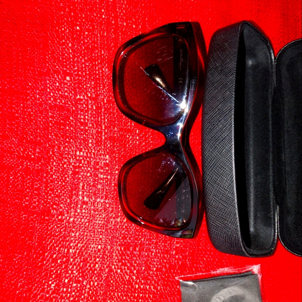 Brand New Salvatore Ferragamo Classic Women Sunglasses with Box and Case